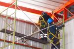 servicios01